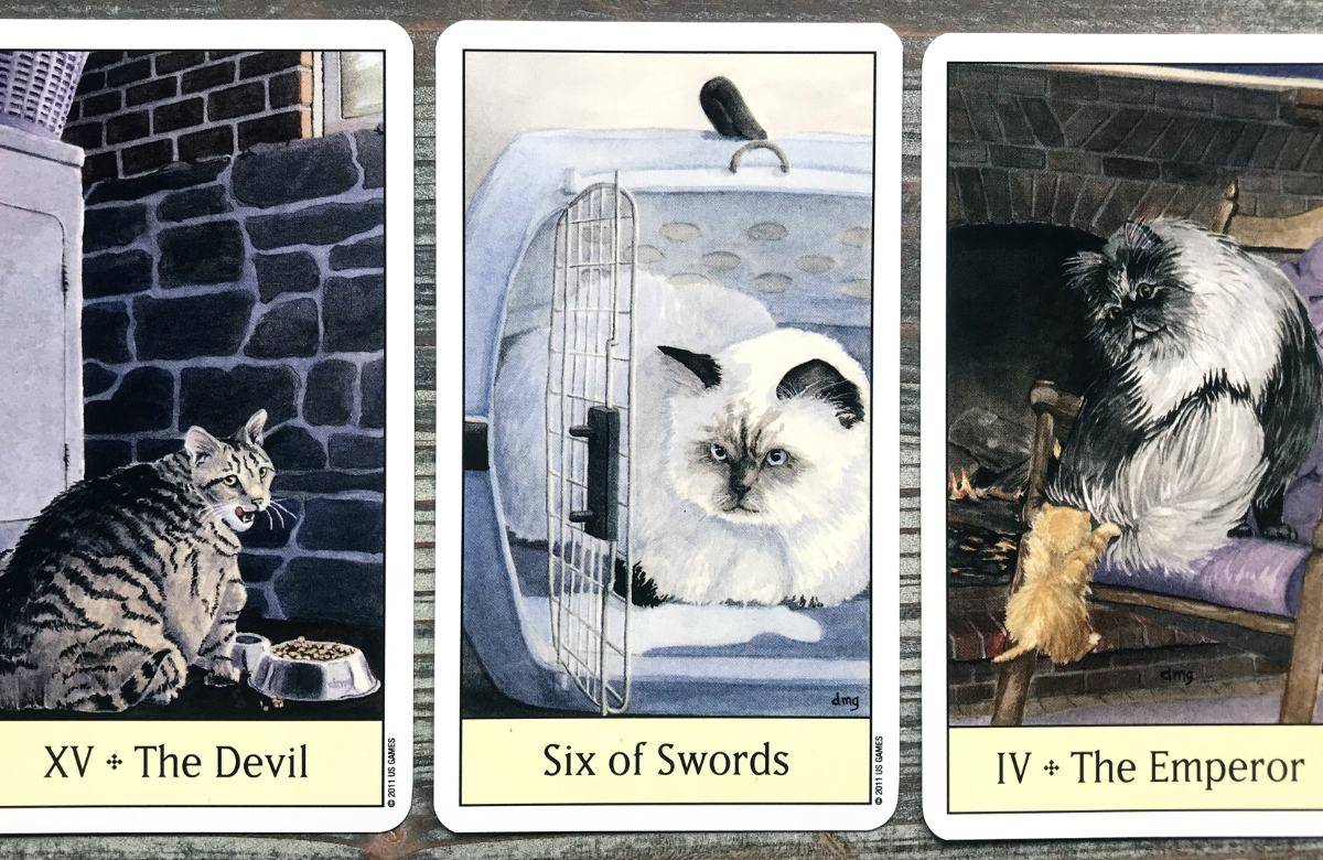 Mazo de Tarot de Gatos PDF para imprimir gratis